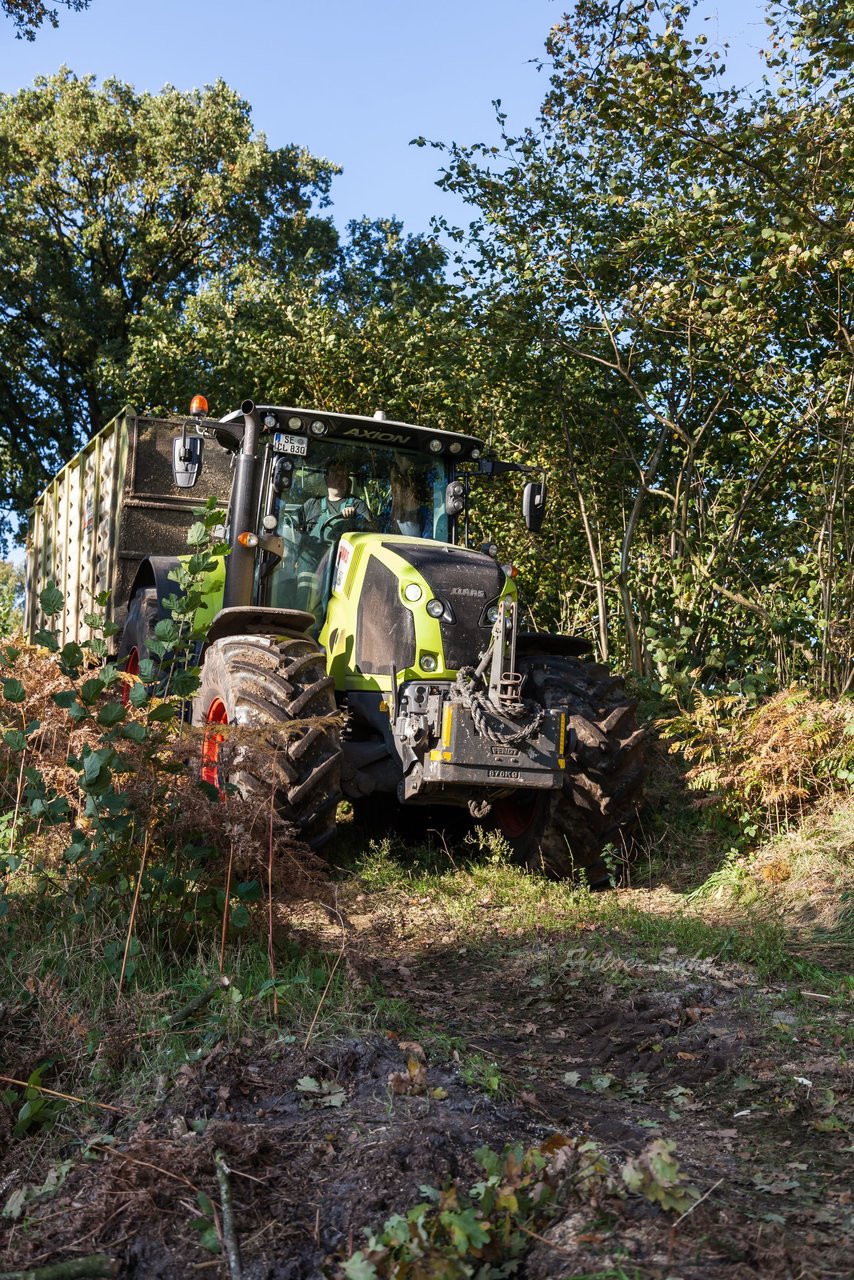 Bild 103 - Maisernte